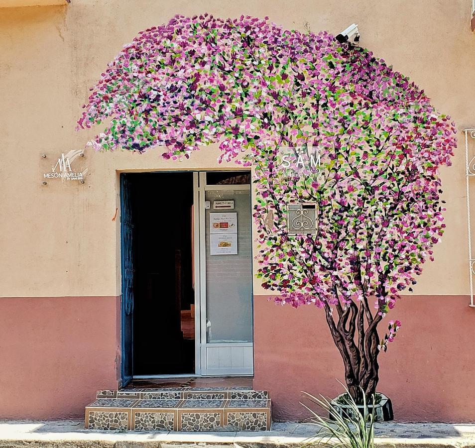 Hotel Meson Amelia San Miguel de Allende Zewnętrze zdjęcie