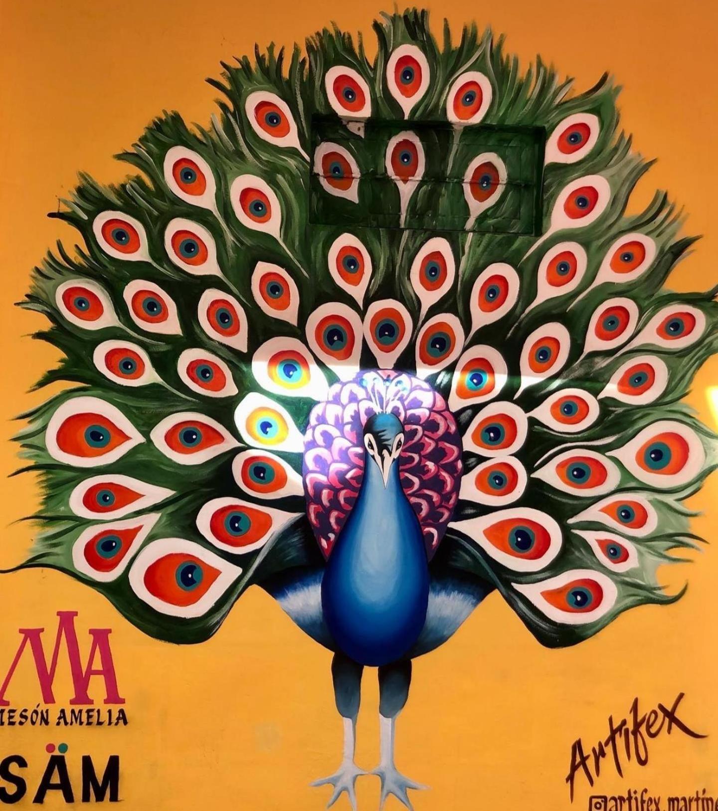 Hotel Meson Amelia San Miguel de Allende Zewnętrze zdjęcie