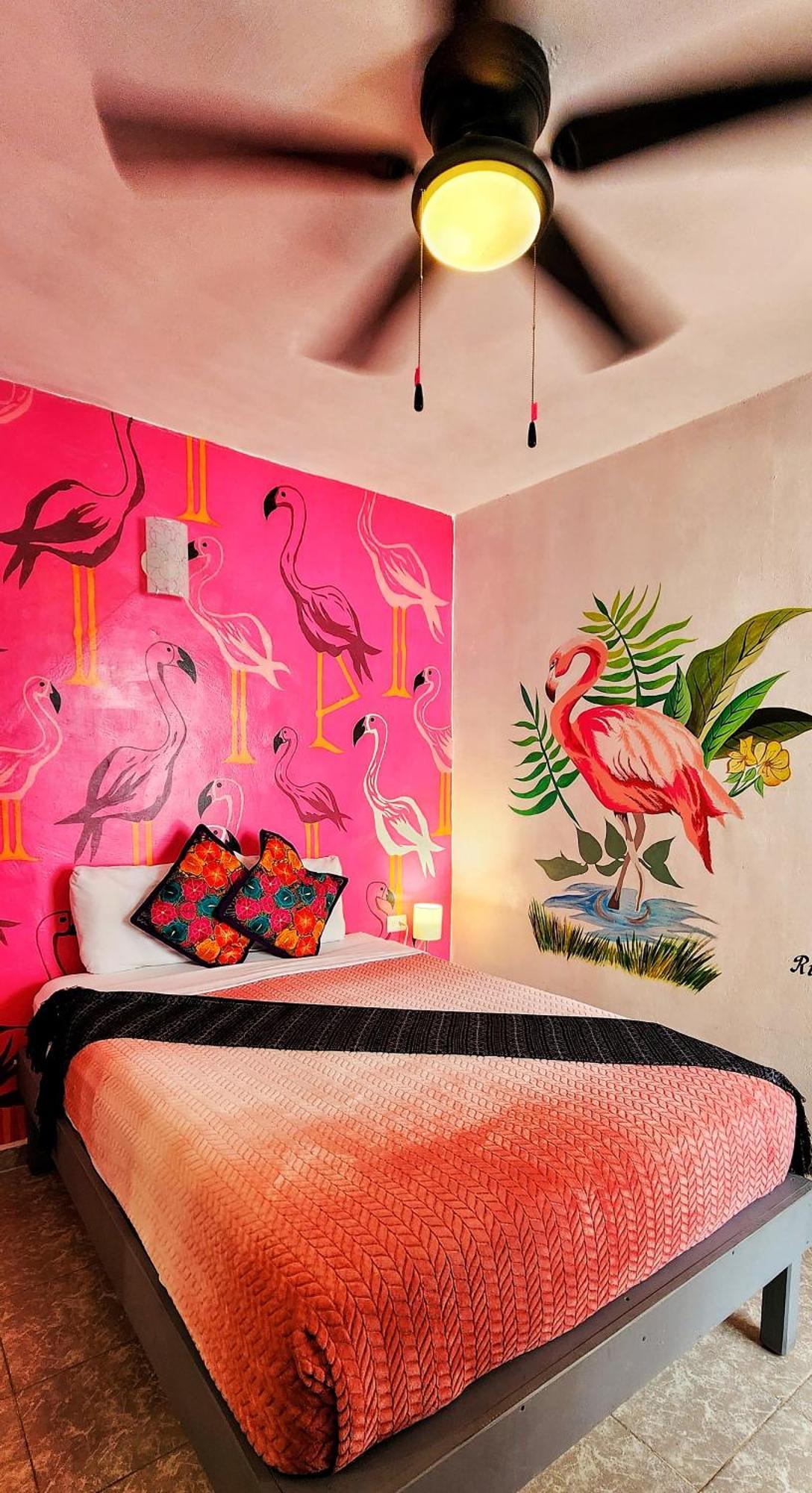 Hotel Meson Amelia San Miguel de Allende Zewnętrze zdjęcie